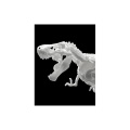 Zdjęcie dodatkowe produktu Szkielet Tyranozaura (Dinozaur) Bandai 61659 Tyrannosaurus