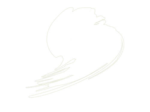Hataka B101 Traffic White (RAL 9016) 10ml