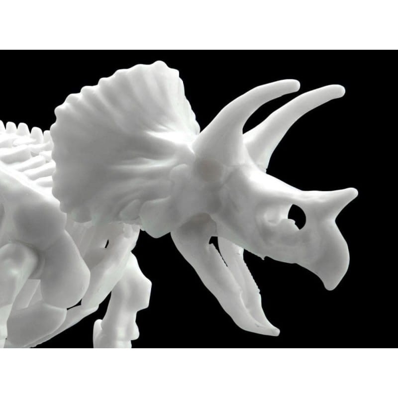 Zdjęcie dodatkowe produktu Szkielet Triceratopsa (Dinozaur) Bandai 61660