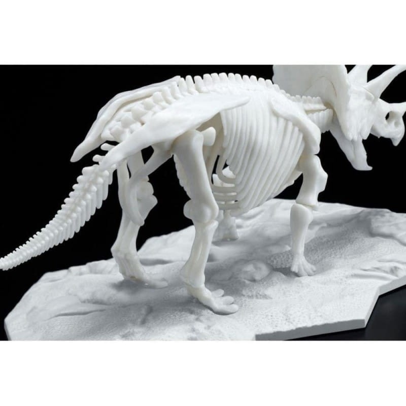 Zdjęcie dodatkowe produktu Szkielet Triceratopsa (Dinozaur) Bandai 61660