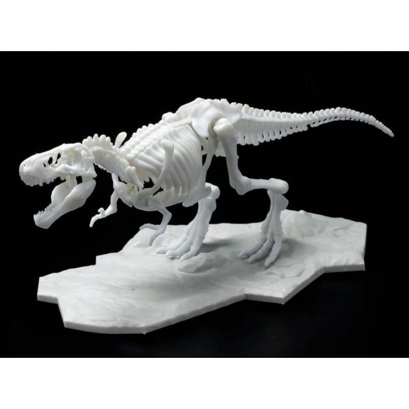 Zdjęcie dodatkowe produktu Szkielet Tyranozaura (Dinozaur) Bandai 61659 Tyrannosaurus