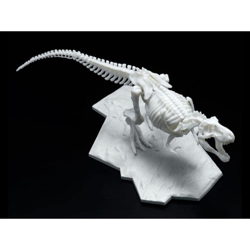 Zdjęcie dodatkowe produktu Szkielet Tyranozaura (Dinozaur) Bandai 61659 Tyrannosaurus