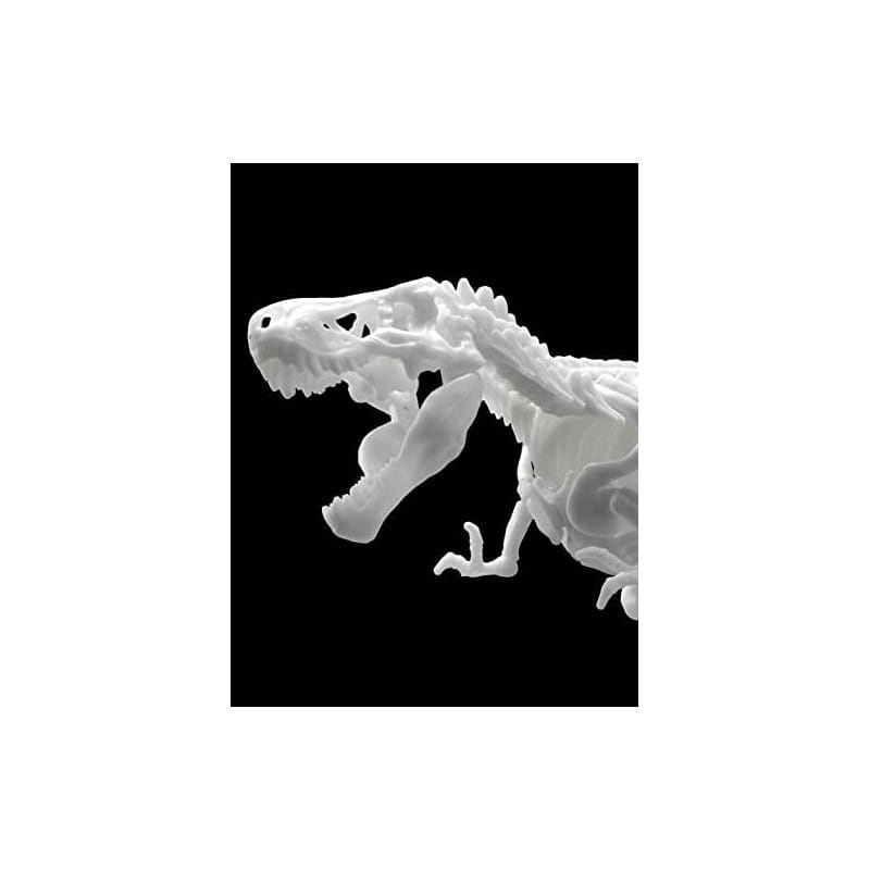 Zdjęcie dodatkowe produktu Szkielet Tyranozaura (Dinozaur) Bandai 61659 Tyrannosaurus