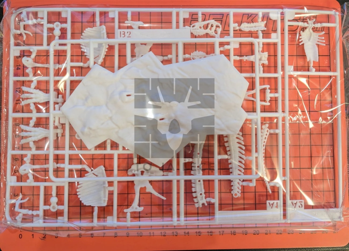 Zdjęcie dodatkowe produktu Szkielet Tyranozaura (Dinozaur) Bandai 61659 Tyrannosaurus