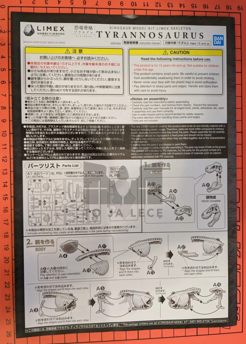 Zdjęcie dodatkowe produktu Szkielet Tyranozaura (Dinozaur) Bandai 61659 Tyrannosaurus