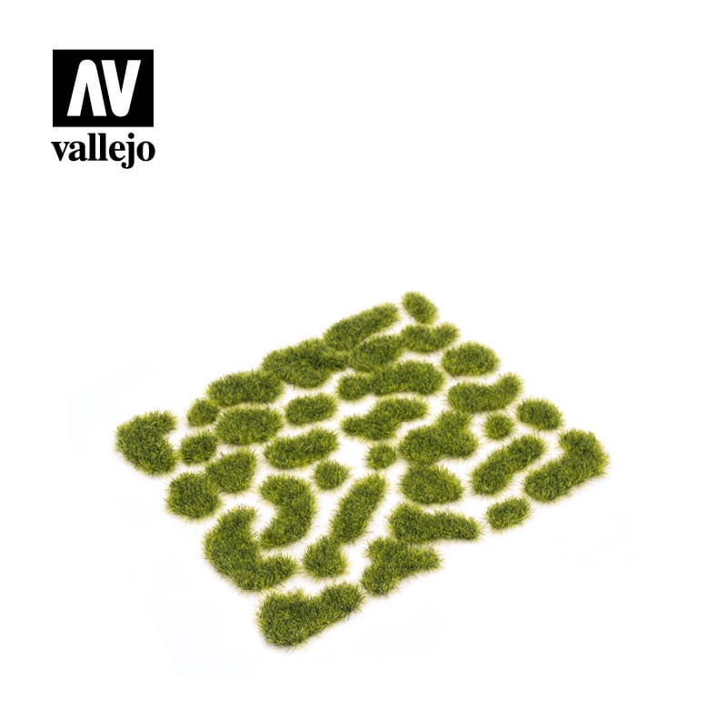 Zdjęcie dodatkowe produktu Wild Moss (2mm, 35szt) Vallejo SC404