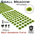 Zdjęcie główne produktu Small Meadow Grass Tufts 2mm (162szt) Paint Forge PFTU0207