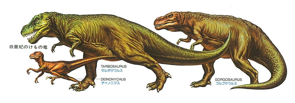 Zdjęcie dodatkowe produktu Tyrannosaurus Rex 1:35 Tamiya 60203