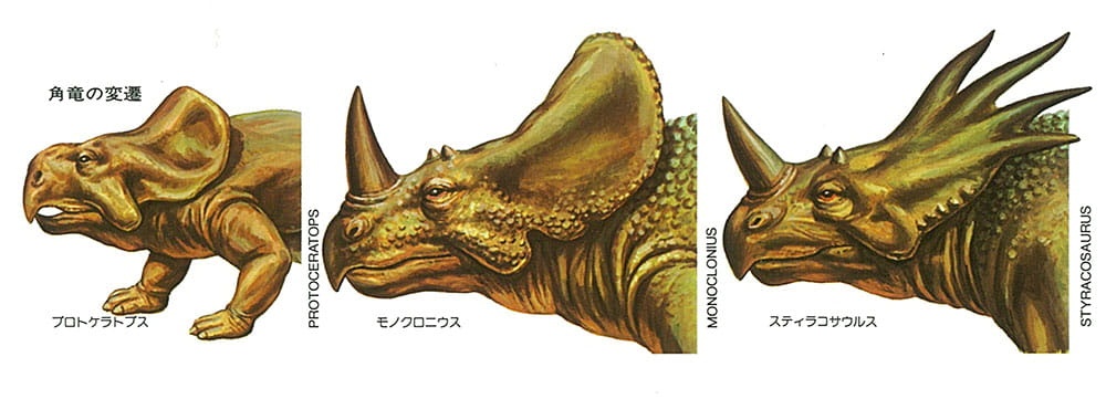 Zdjęcie dodatkowe produktu Triceratops Eurycephalus 1:35 Tamiya 60201