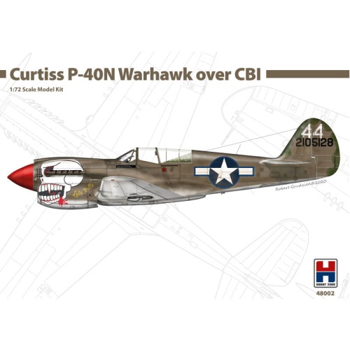 P-40N Warhawk Over CBI (China, Burma, India) 1:72 Hobby 2000 48002