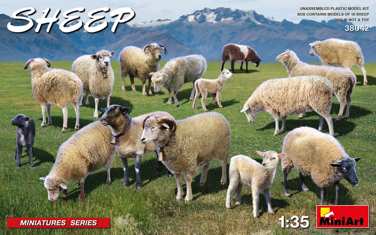 Zdjęcie główne produktu Sheep 1:35 MiniArt 38042