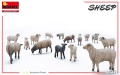Zdjęcie dodatkowe produktu Sheep 1:35 MiniArt 38042