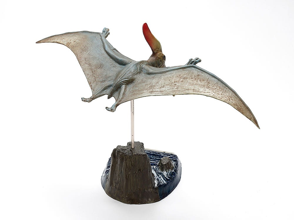 Zdjęcie dodatkowe produktu Pteranodon (Pterozaur) 1:35 Tamiya 60204