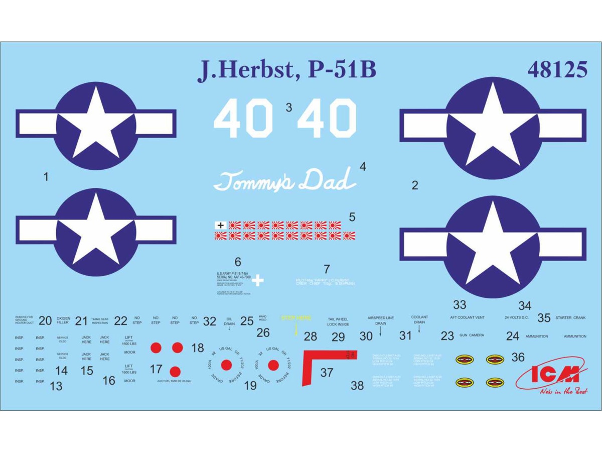 Zdjęcie dodatkowe produktu Mustang P-51B with USAAF Pilots and Ground Personnel 1:48 ICM 48125