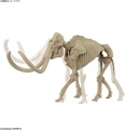 Zdjęcie dodatkowe produktu Mammoth (Mamut) Exploring Lab Nature Bandai