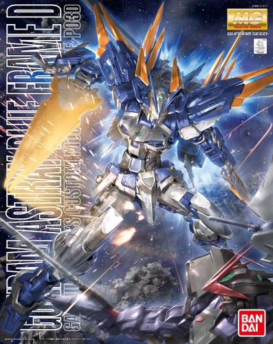 Gunpla MBF-P03D Gundam Astray Blue Frame D MG 1:100