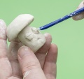 Zdjęcie dodatkowe produktu Narzędzia do rzeźbienia Shesto Modelcraft (8 szt.) Shesto PDT2000