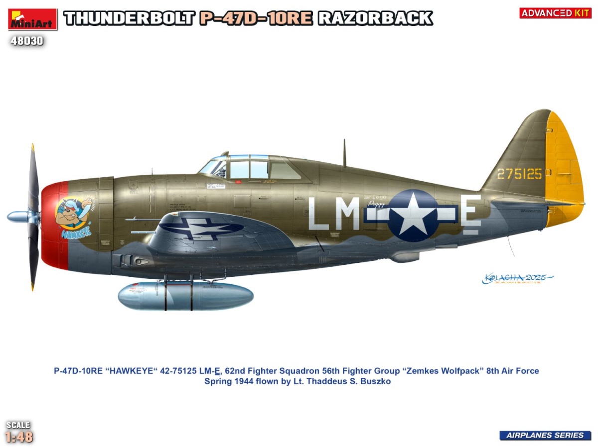 Zdjęcie dodatkowe produktu Thunderbolt P-47D-10RE Razorback Advanced Kit 1:48 MiniArt 48030