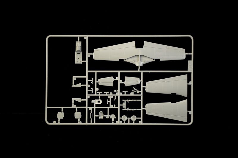 Zdjęcie dodatkowe produktu P-51D Mustang WWII Aces 1:72 Italeri 1484