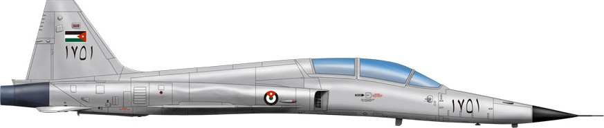 Zdjęcie dodatkowe produktu F-5F Sił Powietrznych Stanów Zjednoczonych 1:48 AFV Club 48106