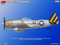Zdjęcie dodatkowe produktu P-47N-1RE Thunderbolt Basic Kit 1:48 MiniArt 48064