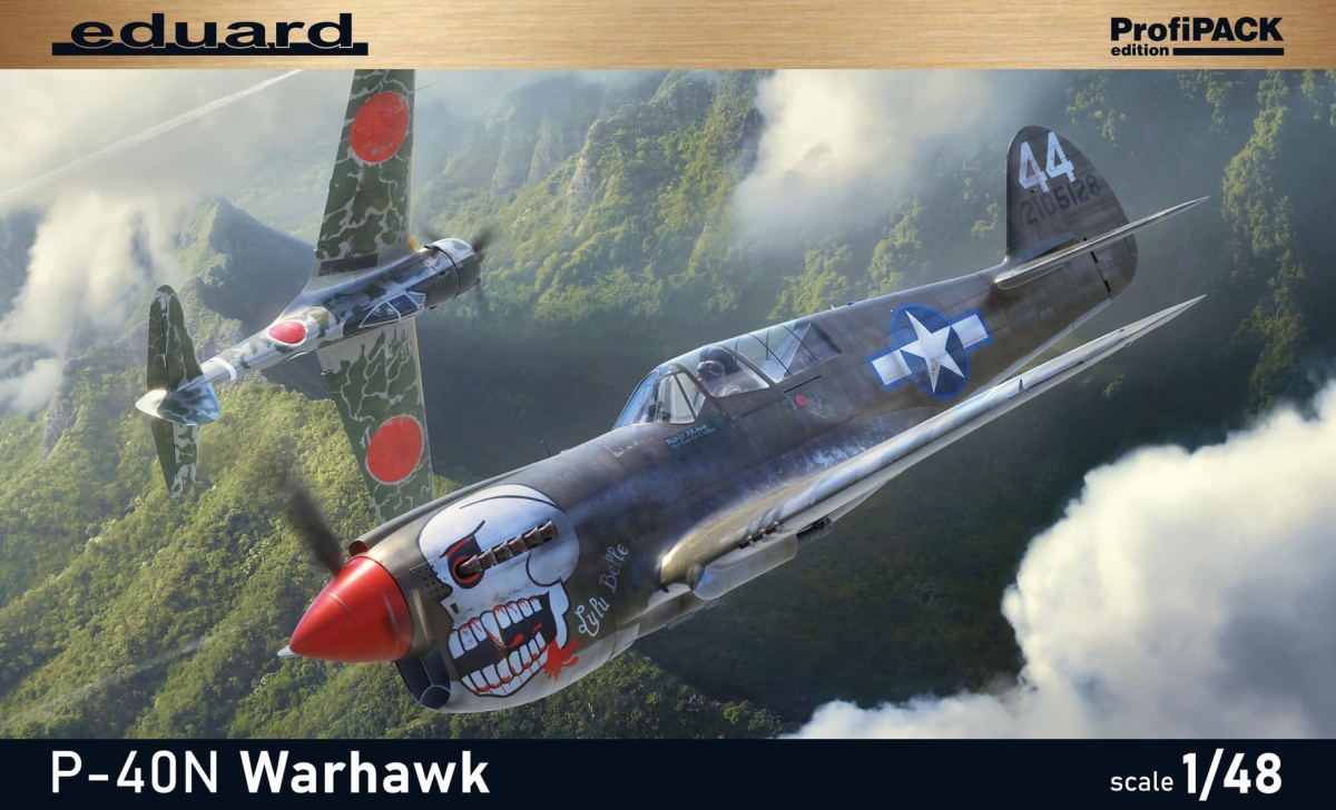 Zdjęcie główne produktu P-40N Warhawk ProfiPack Edition 1:48 Eduard 82242