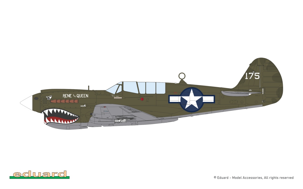 Zdjęcie dodatkowe produktu P-40N Warhawk ProfiPack Edition 1:48 Eduard 82242