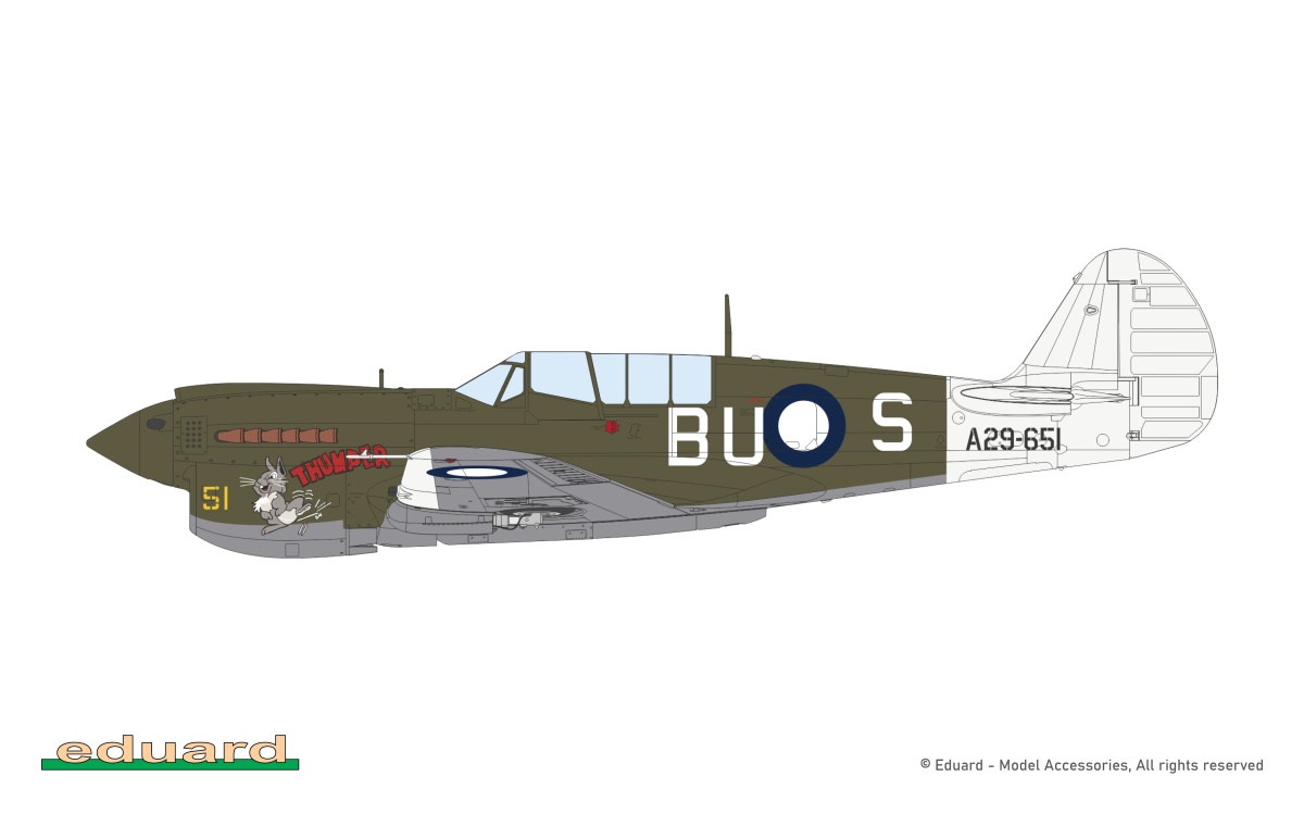 Zdjęcie dodatkowe produktu P-40N Warhawk ProfiPack Edition 1:48 Eduard 82242