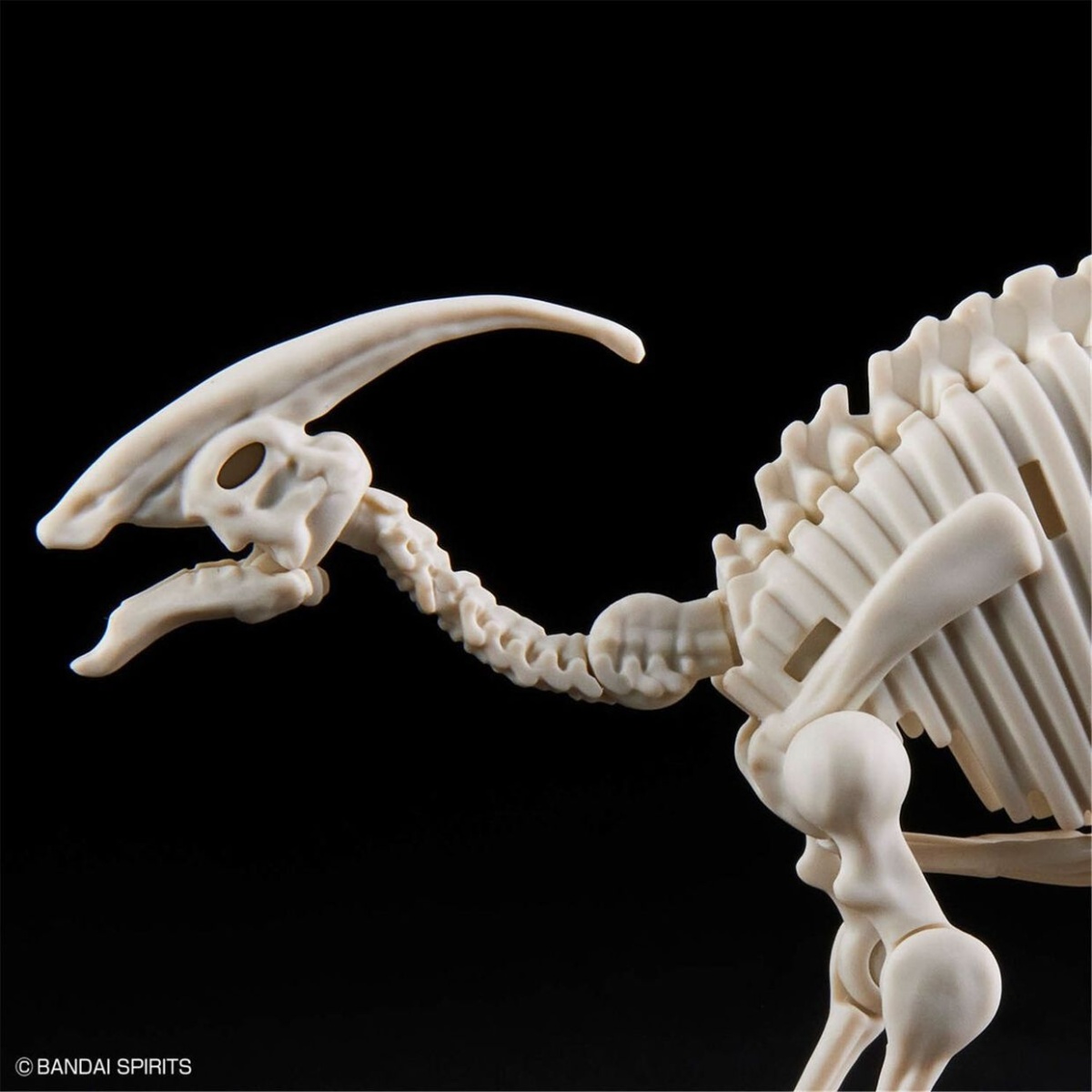 Zdjęcie dodatkowe produktu Parasaurolophus Bandai 66704