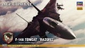 Zdjęcie F-14A Tomcat "Razgriz" 1:72 Hasegawa SP313