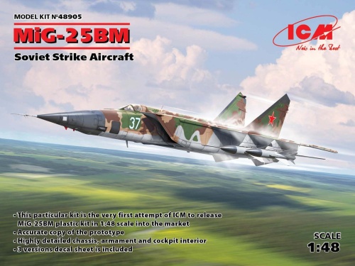 MiG-25 BM 1:48 ICM 48905