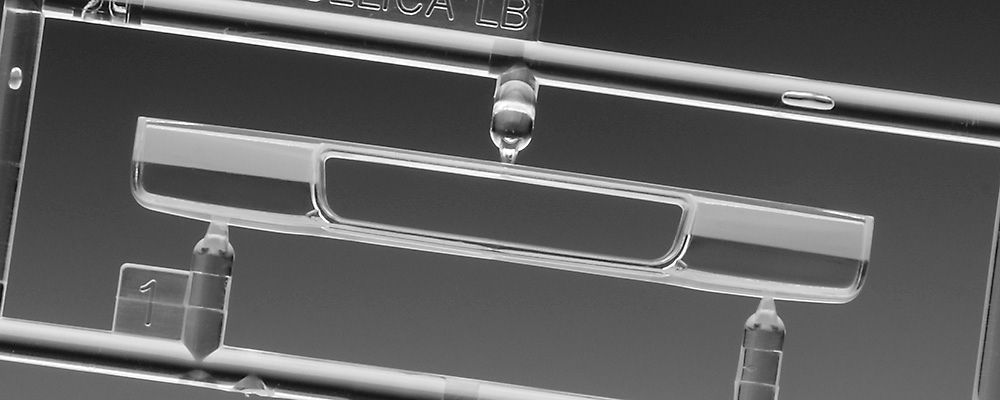 Zdjęcie Toyota Celica LB 1600GT z osłoną reflektorów 1:24 Hasegawa 20795